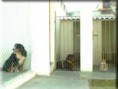 /album/galeria-de-fotos-vai-de-ferias-/hotel4b-jpg/