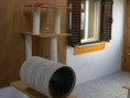 /album/galeria-de-fotos-vai-de-ferias-/hotel-gatos6-jpg/