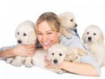 /album/galeria-de-fotos-pet-sitting-/imagescaggefne-jpg/